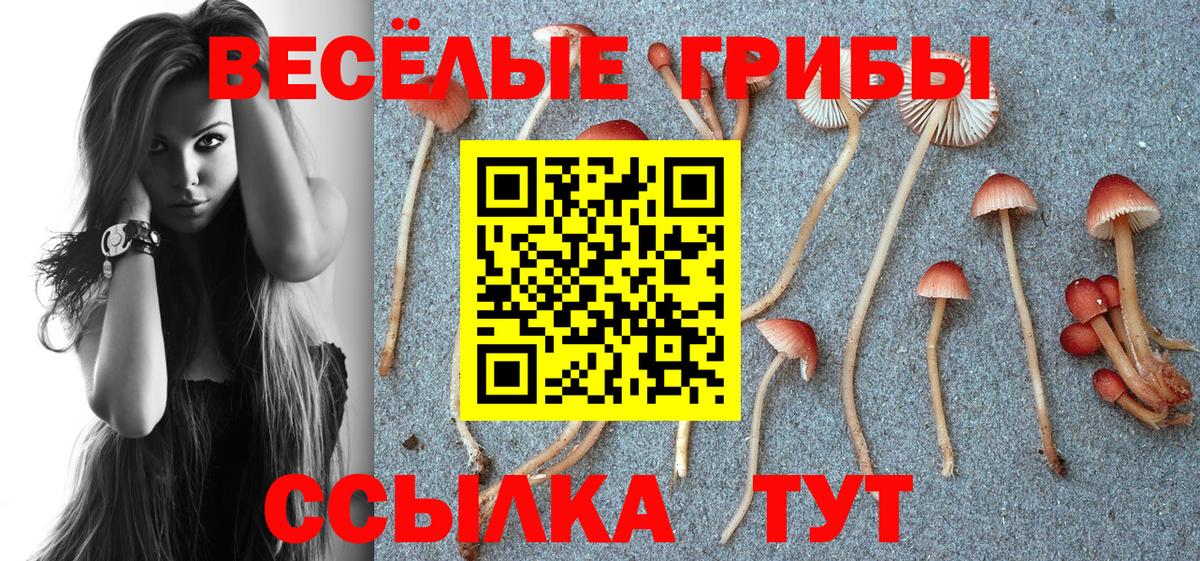 Псилоцибиновые грибы MAGIC MUSHROOMS Чебаркуль